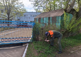 Всероссийская неделя субботников "Мы за чистоту" Всероссийская неделя субботников "Мы за чистоту".